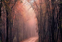 新手必看：关于草榴你不知道的小秘密