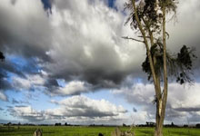 2048核基地激活账号-2048核基地金币-2048核基地威望米粒