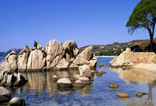 草榴社区冷门知识